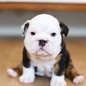 Meet your Posher, Mari